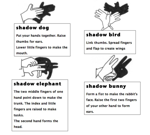 Shadow Stories | Kids Write!